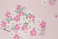 My Neighbor Totoro Noren Curtain Tapestry Cherry Blossoms Ghibli Sakura Made in Japan